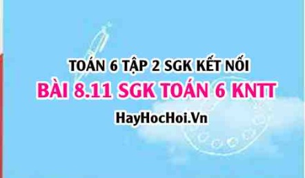 Bài 8.11 SGK Toán 6 tập 2 Kết nối tri thức